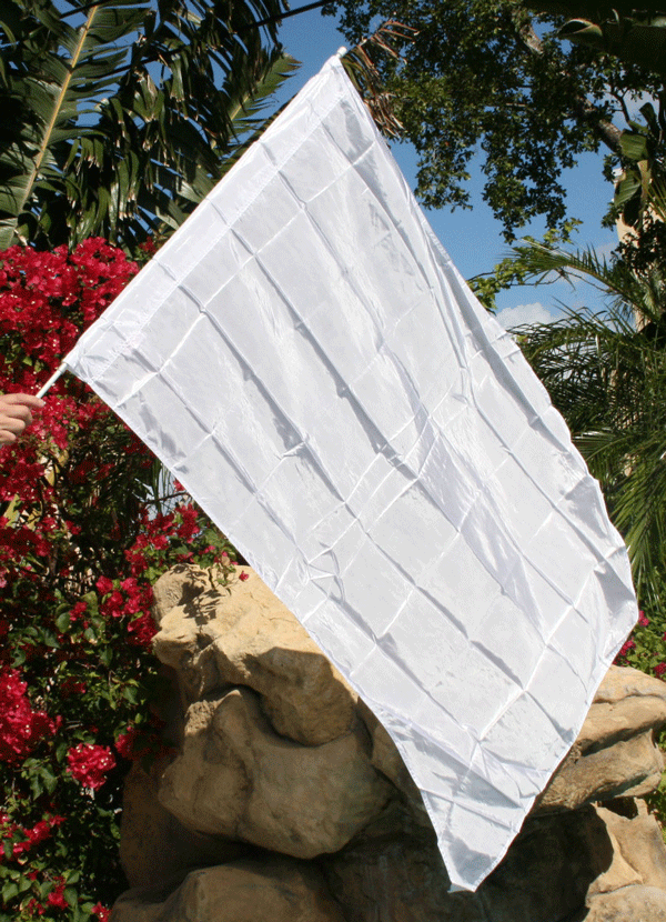 FLAG-F1-WHITE photo