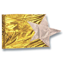 GOLD STAR PRAISE WORSHIP SWING FLAG WPSF099